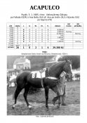 Acapulco-85w