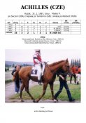Achilles-97w