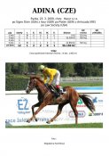 Adina-09w