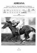 Adriana-68w