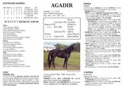 Agadir21