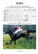 Alien-91w