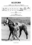 Allegro-85w