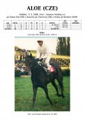Aloe-00w