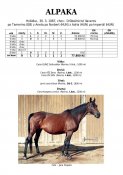 Alpaka-87w