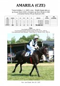 Amarila-03w