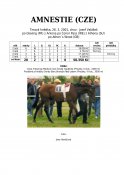 Amnestie-01w