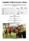 Amore_fortunato_pol_02w