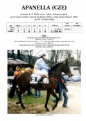 Apanella-03w