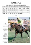 Apartma-91-dm