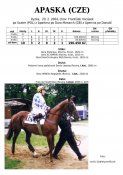 Apaska-04w