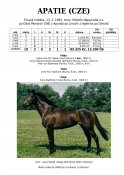 Apatie-92-dm