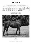 Arabka-78w