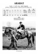 Ararat-72-w