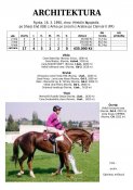 Architektura-90w
