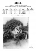 Ariel-84w