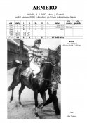 Armero-87w