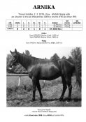 Arnika-78w