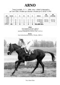 Arno-84-tx-w