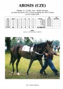 Arosis-92-ads-w