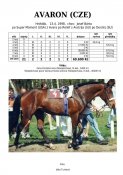 Avaron-98w