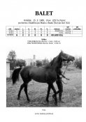 Balet-85w