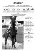 Bastien-91-rs-w
