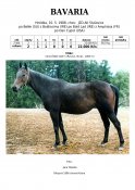 Bavaria-87w