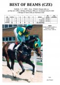 Best_of_beams-97w