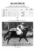 Blancheur-89-rh-w