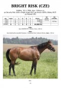 Bright_risk-04w
