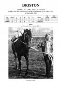 Briston-86w