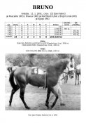 Bruno-91w