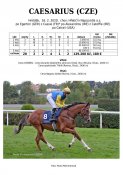 Caesarius-20w