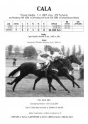 Cala-87-rh-w