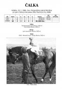 Calka-68w
