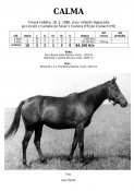 Calma-80w