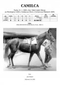 Camilca-90w
