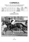 Capriola-77w