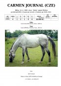 Carmen-journal-92w