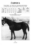 Carnica-85w