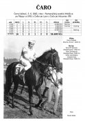 Caro-83w