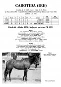 Carotida-ire-87w