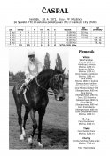 Caspal-72-w