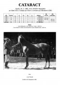 Cataract-85-abad-w