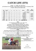 Catch-life-08w