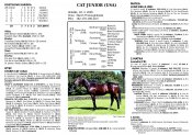 Catjunior-k23
