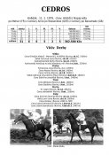 Cedros-79w