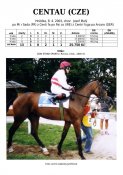 Centau-04w