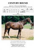 Century-bound-75w